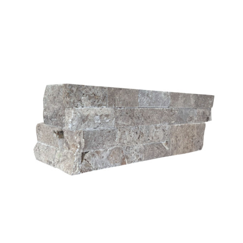 Silver Ledger