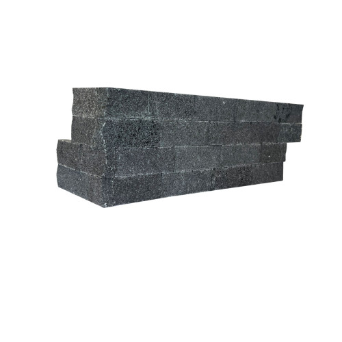 Black Ledger